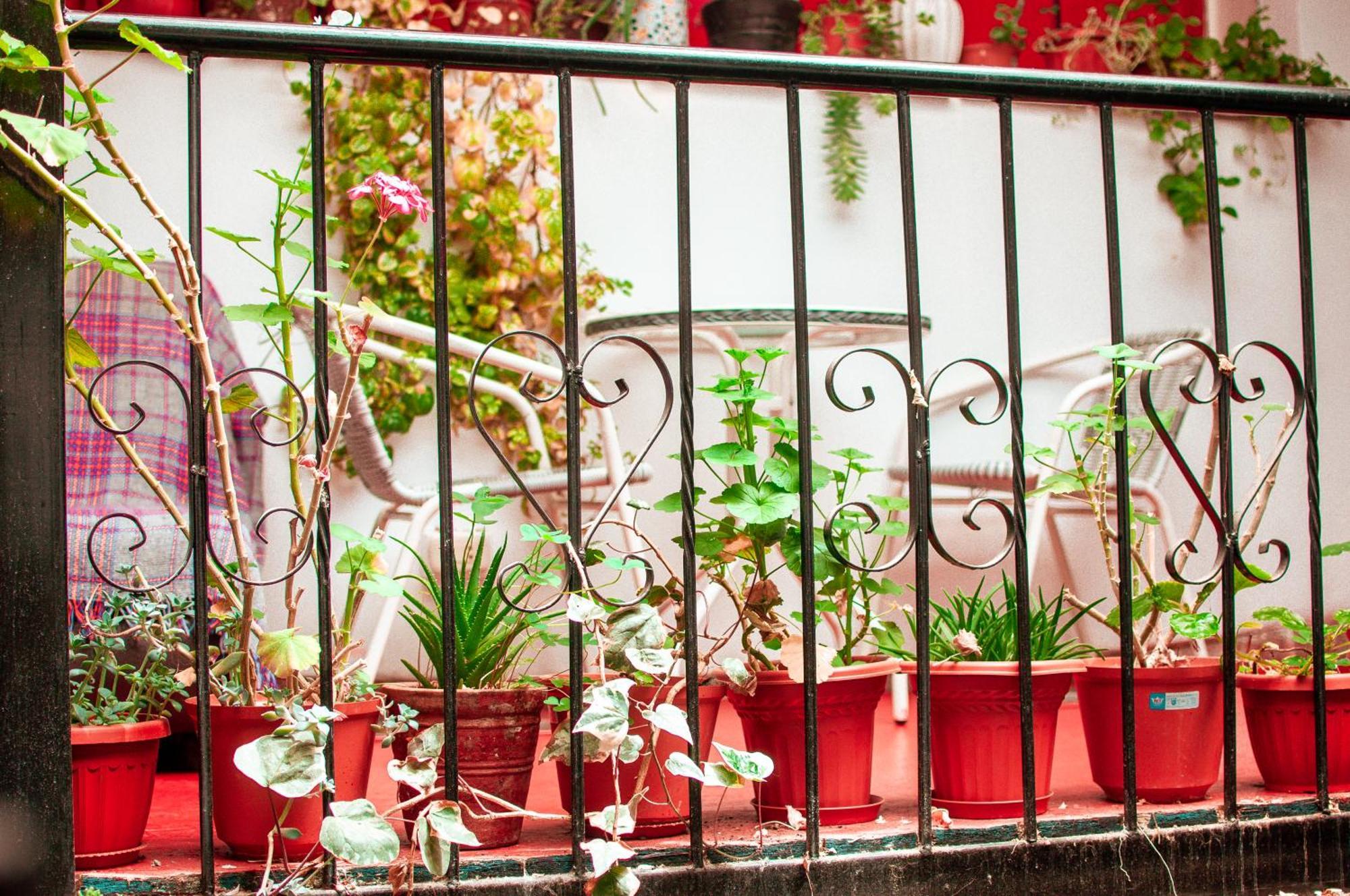 La Casa De Laura - Plaza Hotel Cusco Exterior photo